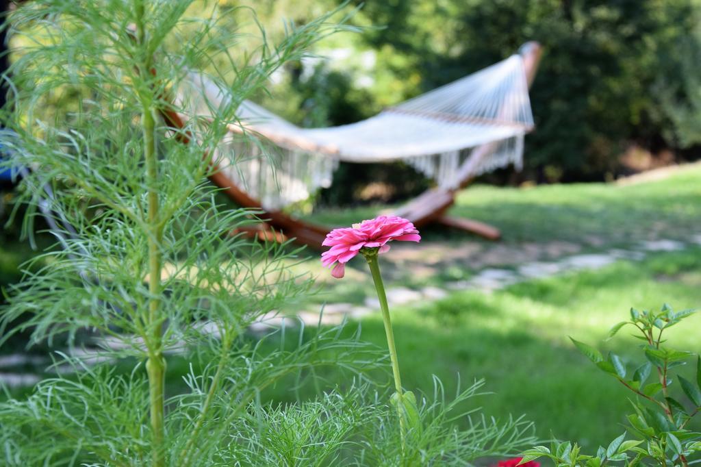 Golden Horn Guest House Iskrets ภายนอก รูปภาพ